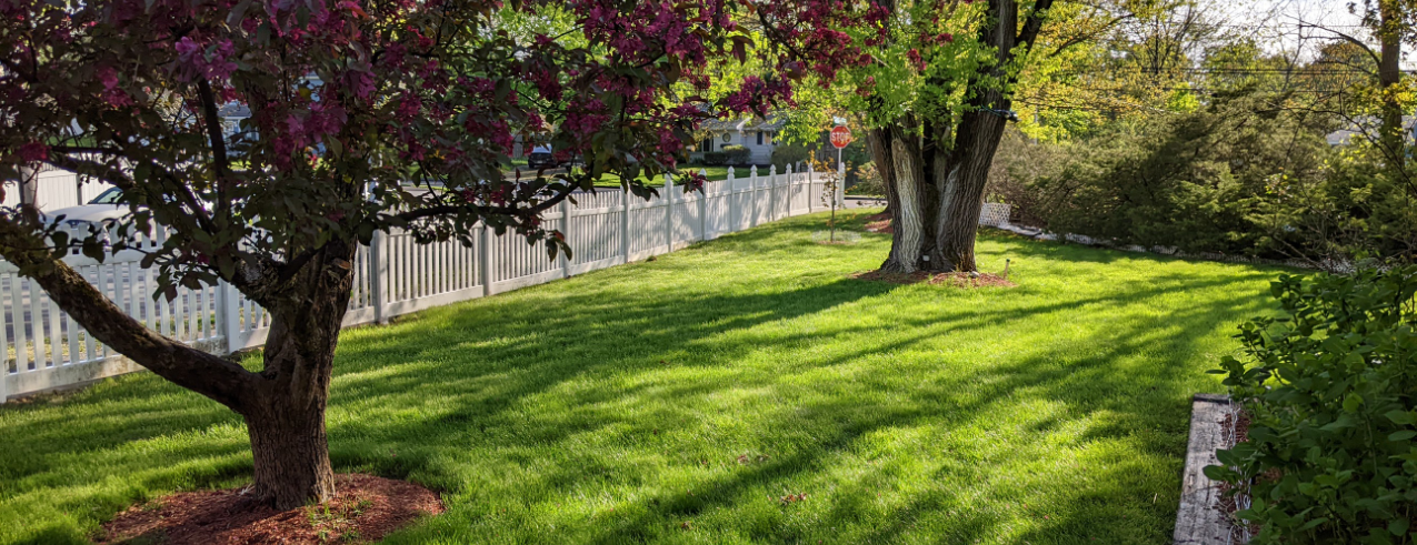 Front yard with landscaping